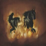 The Besnard Lakes, The Besnard Lakes Are The Dark Horse (CD)