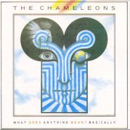 The Chameleons, What Does Anything Mean? Basically [Import] (CD)