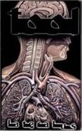 Tool, Lateralus (Cassette)