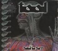 Tool, Schism (CD)