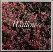 Wallows, Spring EP [Autographed] (CD)