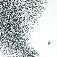 Wilco, Sky Blue Sky [180 Gram Vinyl] (LP)