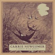 Carrie Newcomer, A Great Wild Mercy (CD)