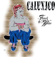 Calexico, Feast Of Wire [Gold/Silver Vinyl] (LP)