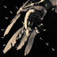 Bad Religion, Generator [30th Anniversary Green/Clear Galaxy Vinyl] (LP)