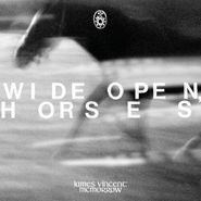 James Vincent McMorrow, Wide Open Horses (CD)