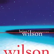 Brian Wilson, Imagination [Record Store Day] (LP)