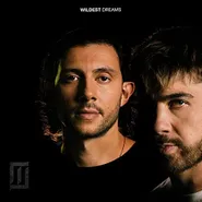 Majid Jordan, Wildest Dreams (LP)