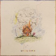 Isaiah Rashad, The House Is Burning (LP)