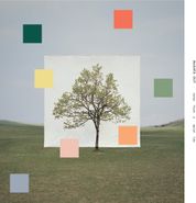 Washed Out, Notes From A Quiet Life (CD)