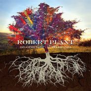Robert Plant, Digging Deep: Subterranea (CD)