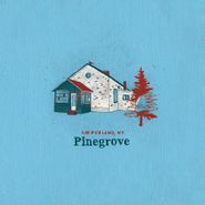 Pinegrove, Amperland, NY (CD)