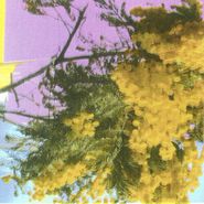 Four Tet, Into Dust (Still Falling) (12")