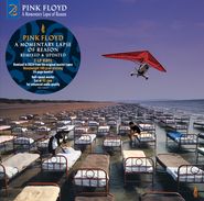 Pink Floyd, A Momentary Lapse Of Reason [180 Gram Vinyl Half-Speed Master] (LP)