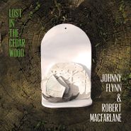 Johnny Flynn, Lost In The Cedar Wood (CD)