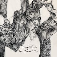 Becca Stevens, Becca Stevens & The Secret Trio (CD)