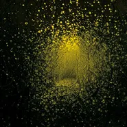 The Antlers, Burst Apart [Lemonade Yellow Vinyl] (LP)