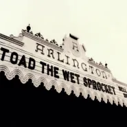 Toad The Wet Sprocket, Welcome Home: Live At The Arlington Theatre, Santa Barbara 1992 [Record Store Day] (LP)