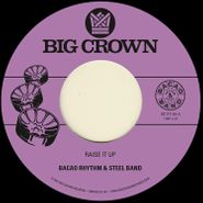 Bacao Rhythm & Steel Band, Raise It Up / Space (7")
