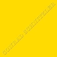 Conrad Schnitzler, Gelb [50th Anniversary Edition] (LP)