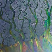 Alt-J, An Awesome Wave [Fern Green Vinyl] (LP)