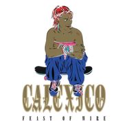Calexico, Feast Of Wire [20th Anniversary Deluxe Edition] (CD)