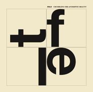 Felt, Crumbling The Antiseptic Beauty (CD)