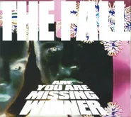 The Fall, Are You Are Missing Winner [Deluxe Edition] (CD)