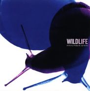 Anthony Phillips, Wildlife [Expanded Edition] (CD)