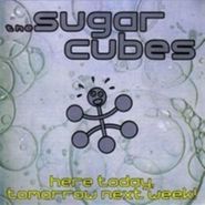 The Sugarcubes, Here Today, Tomorrow Next Week! [Pink Vinyl] (LP)
