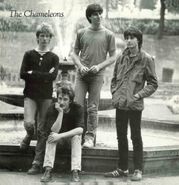 The Chameleons, Tony Fletcher (CD)
