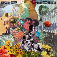 Mamas Gun, Cure The Jones (CD)