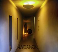 The Residents, Anganok (CD)
