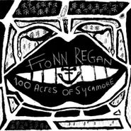 Fionn Regan, 100 Acres Of Sycamore (LP)