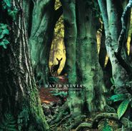 David Sylvian, Manafon (LP)