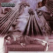Steely Dan, The Royal Scam [180 Gram Vinyl] (LP)