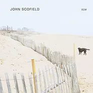 John Scofield, John Scofield (LP)