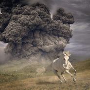 The White Buffalo, Year Of The Dark Horse [Gray Vinyl] (LP)