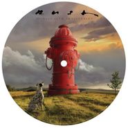 Rush, Signals [40th Anniversary Picture Disc] (LP)