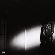 Destroy Lonely, NO STYLIST (LP)