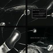 David Sylvian, Camphor II [White Vinyl] (LP)