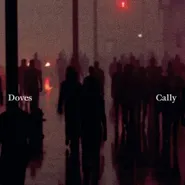 Doves, Cally / Lean Into The Wind (10")