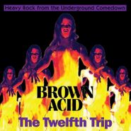 Various Artists, Brown Acid: The Twelfth Trip (LP)