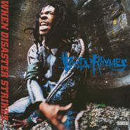 Busta Rhymes, When Disaster Strikes... [Silver Vinyl] (LP)