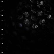 Crumb, Ice Melt (CD)