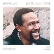Marvin Gaye, Dream Of A Lifetime [1985 Issue] (LP)