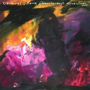 The Verlaines, Some Disenchanted Evening [Record Store Day Seaweed Green Vinyl] (LP)