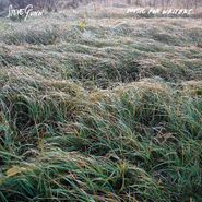 Steve Gunn, Music For Writers [Orange Vinyl] (LP)