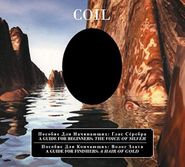 Coil, A Guide For Beginners: The Voice Of Silver / A Guide For Finishers: A Hair Of Gold (CD)