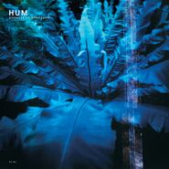 Hum, Downward Is Heavenward (CD)